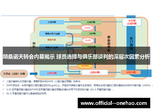 胡桑诺夫转会内幕揭示 球员选择与俱乐部谈判的深层次因素分析 胡桑诺夫转会内幕揭示 球员选择与俱乐部谈判的深层次因素分析