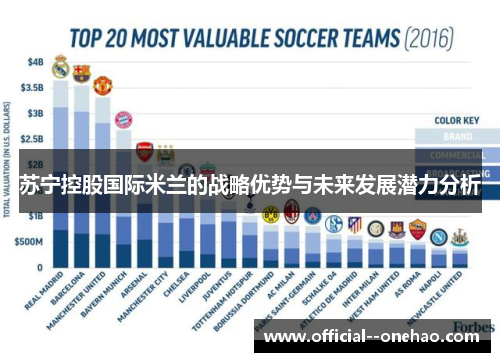 苏宁控股国际米兰的战略优势与未来发展潜力分析 苏宁控股国际米兰的战略优势与未来发展潜力分析